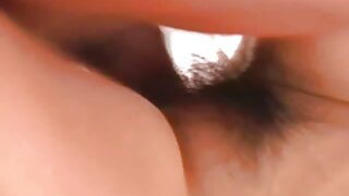دو بگڑے ہوئے چوزے ای ...