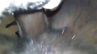 ادرک گھریلو خاتون ای ...