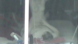 گندے سرخ بالوں والے  ...